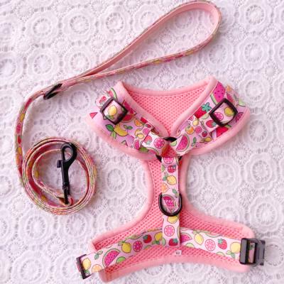 China QThonest High Quality Customizable Dog Harness Padded Neoprene UK Dog Harness Adjustable Custom for sale