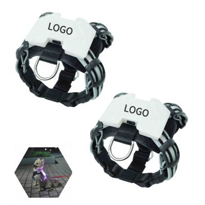 China QThonest Padded High Quality Custom Private Label Led Harness For Night Time USB Led Lightweight Dog Harness for sale