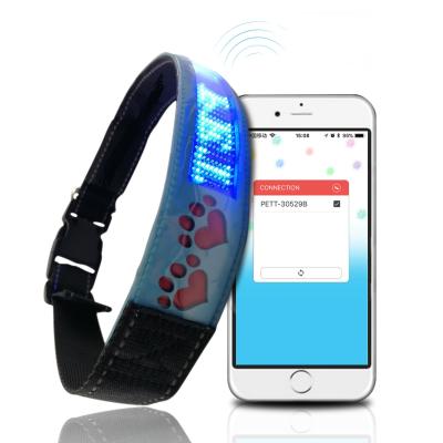 China QThonest High Quality Padded Colorful Dog Screen USB Led Collar 2021 Luminous Collar Led Dog Collar for sale