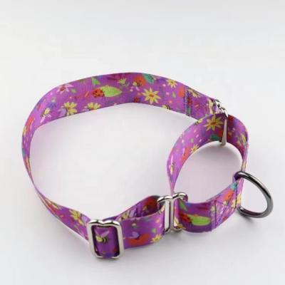 China QThonest Personalized Dog Collars Customized No Pull Pet Collar Pattern Martingale Heavy Duty Dog Collar for sale