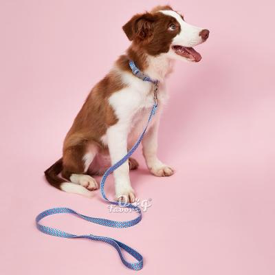 China Amazon Pet Viable Explosive Products Printed Dog Collar Pull Rope Dog Collar Leash Set Spot for sale