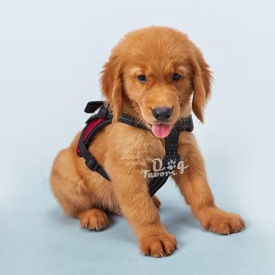 China New Spot Factory Customized Direct Sales Pet Dogs Dog Traction Rope Pet Chest Vest Style Medium And Large Harness for sale