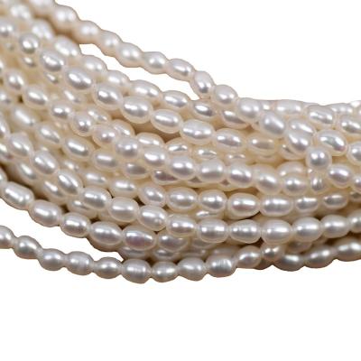 China DIY Pearl Beads Jewelry Best Price Natural Freshwater Rice Pearl 2mm Small Pearls For Jewelry Making for sale