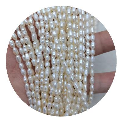 China DIY Pearl Beads Jewelry Hot Selling 3mm Rice Shape Natural Small Freshwater Pearls For Jewelry Accessories for sale