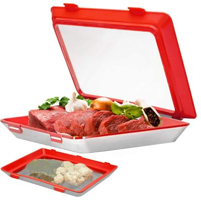 China Reusable Plastic Freezer Food Preservation Tray Eco-Friendly RAYBIN Sustainable Creative Multifunctional for sale