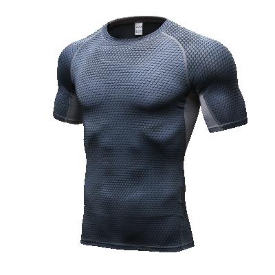 China QUICK DRY Custom Sports Gym T-shirt Short Sleeve Compression Short Sleeve Fitness Clothing Factory for sale