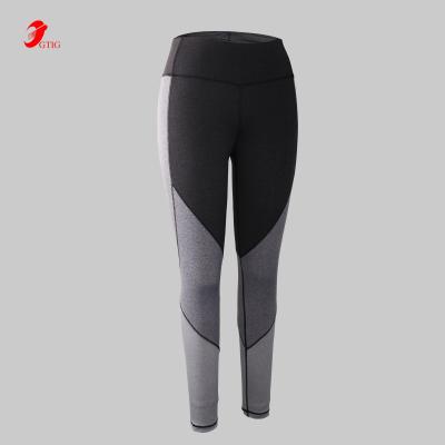 China Breathable Women Plus Tall Gray Block Fitness Women Gym Sports Tights Waistband Legging for sale