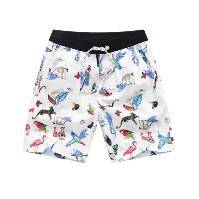 China Swim Trunk Boardshorts OEM Manufacturer Beach Swimwear Print Cotton Teen Boy's Board Shorts for sale