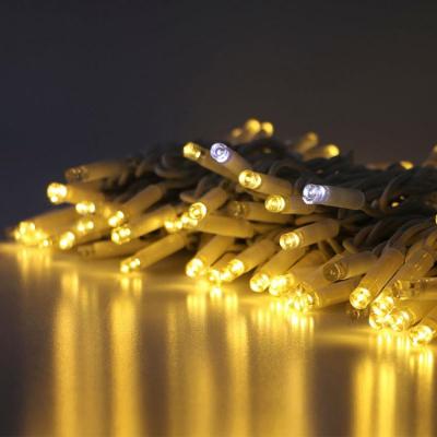 China 2020 Commercial Use Outdoor Waterproof Christmas Lights Led Lighting Decorative Decoration LED Lights for sale