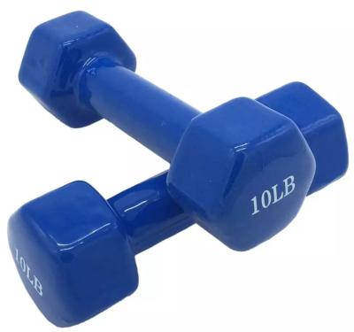 China Anti-Slip Hot Selling Solid Cast Steel Vinyl Coated Women KG Neoprene Plastic Dip Dumbbells For Women for sale