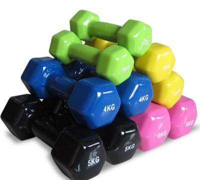 China Factory Sale Family Fitness Equipment Anti-Slip Hot Dip Plastic Dumbbell For Yoga Practice for sale