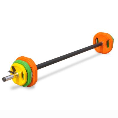 China Powerlifting Universal Rubber Coated Body Pump Weight Dumbbell Barbell Colorful Aerobic Set for sale