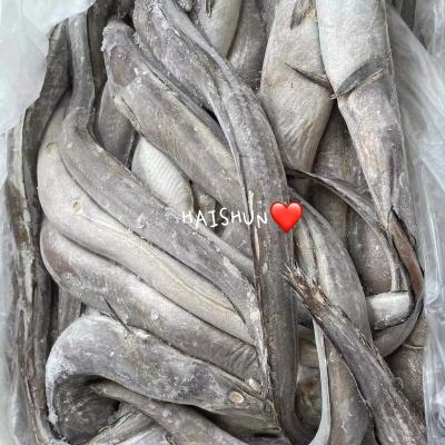 China Free Frozen Eel Trans-fat Fish Trawl 500-1000 and 1000up for sale