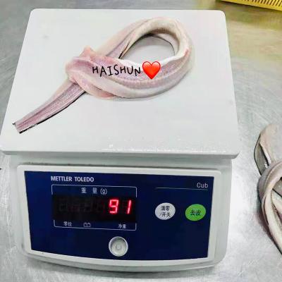 China Low Fat Frozen Eel Fish Headbands 80-300g Market Drops for sale