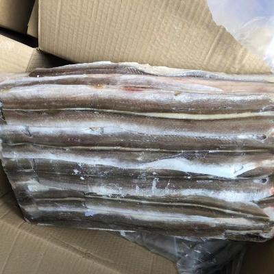 China Organic Frozen Eel Fish Belly 90-200g Market Drops Gutted For Canned for sale