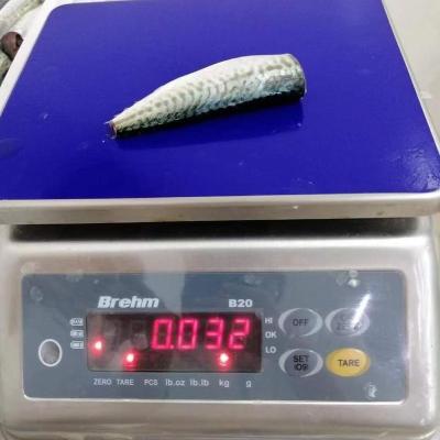 China Chinese Organic Supply Processing Products Head Off Thomson Pacific Mackerel Fish For Gutted Jelly Canning for sale