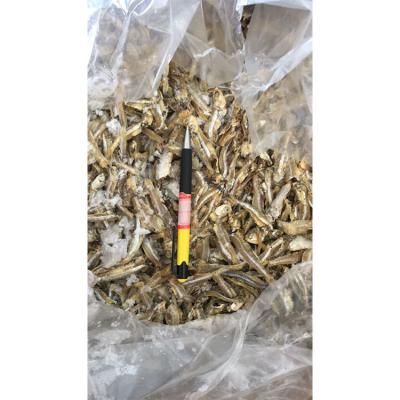 China Wholesale nutritious dry anchovy export standard price for sale high quality dried anchovy fish for sale