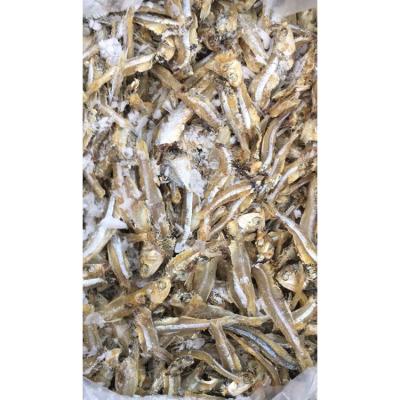 China Factory nutritious professional production bulk dried anchovy dried salted dried anchovies fish for sale