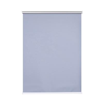 China Modern Fashionable Popular Factory Outlet Customized Day and Night  Window Shades 100% Blackout Roller Blinds for sale