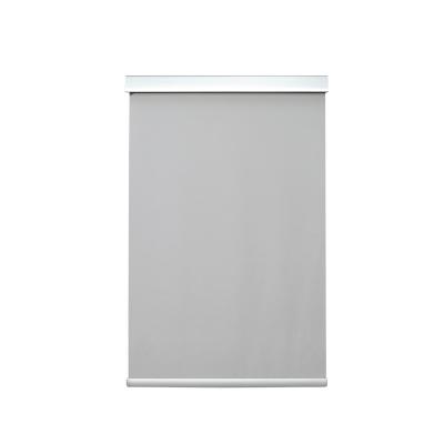 China Modern Factory Outlet Affordable and Customizable Grey Blackout Blinds for Bedroom Roller Blinds for sale