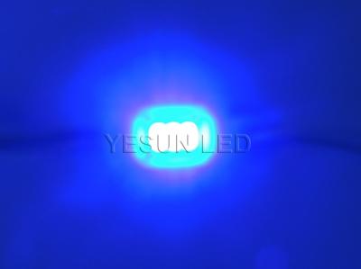 China Mini módulo super do diodo emissor de luz de SMD para a categoria azul 25 da cor IP65 do sinal da letra de canal - lúmen 32lm à venda