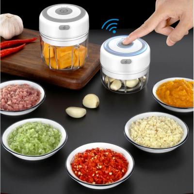 China Cordless Press Mincer Vegetable Chili Meat Grinder Food Garlic Chopper Mini USB Household Electric Garlic Crusher 100ML 250ML for sale