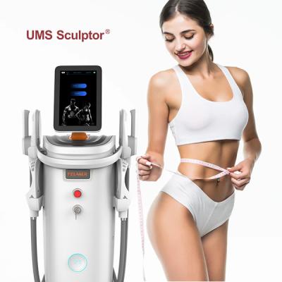 China Weight Loss Lumzeus Muscle Stimulator Slimming EMS Abdominal Fitness Machine Emt EMS Sculpt Neo for sale