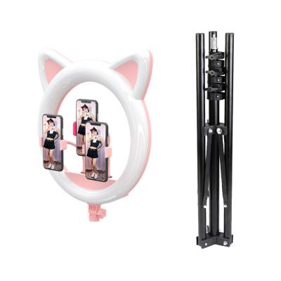 China Photogrphy RK45 Cat Shaped Ring Light LED Selfie Ring Light with Tripod Stand for sale