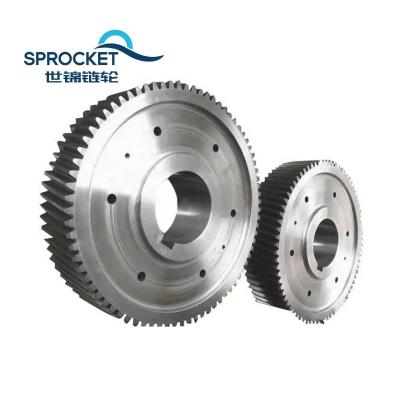 China Used in Various Industries Factory High Quality Differential OEM Small Double Helical Gears Wheel Stainless Steel Worm Gear for sale