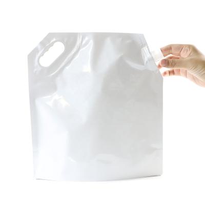 China BIODEGRADABLE Custom Spout Pouch Printed Packaging Stand Up Bag Pouch Package With Spout Plastic Packaging Bag for sale