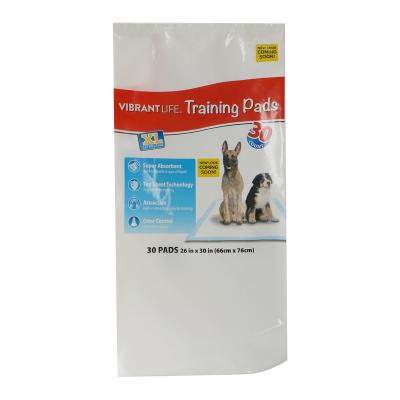 China New Recyclable Puppy Training Side Gusset Pet Packaging Bag Plastic Bag Recyclable Side Guesset Printed Packaging for sale