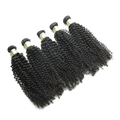 China 2020 New Unprocessed Kinky Curly Raw Malaysian Curly Hair Bundles for sale