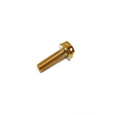 China Golden Stainless Steel Hexagon 304 Flange Bolts M8*25. Personalization available for sale