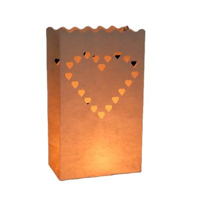 China China Whole Sale 100% Biodegradable Fire Resistant Candle Wish Paper Bags For Romantic Party for sale