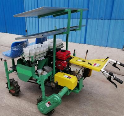 China Factory Agricultural Machinery Pepper Onion Transplanter Machine Transplanting Machine for sale