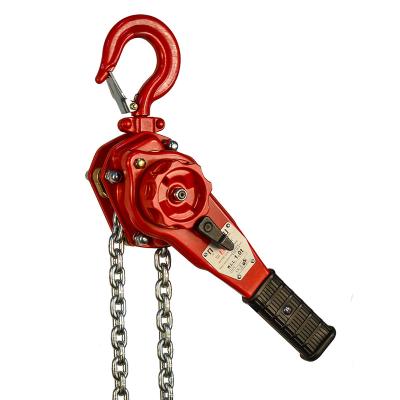 China 2.5 Ton Chain Block Small Chain Hoist Durable Design Ease Maintenance for sale