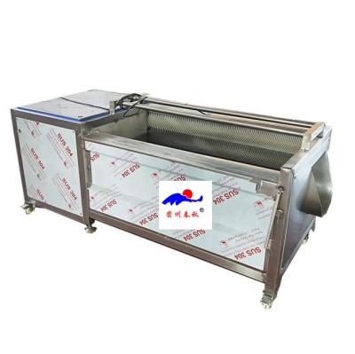 China 2021 Best Selling Vegetable Industrial Cassava Ginger Yam Peeler Washing Machine Potato Peeler 800kg/h Cactus Pineapple Snack Factory 2021 Best for sale