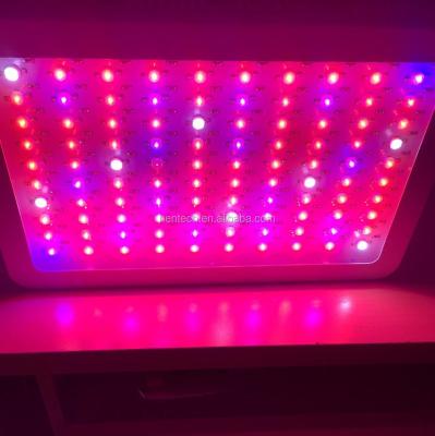 China All Kinds Of 2019 New Product Hentech Full Spectrum LED Grow Light For Most Crops 300W Mini With 3 Years Warranty for sale