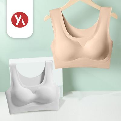 China OEM Breathable Quick Drying Good Quality Women Push Up Bras Comfortable Seamless Bra for sale