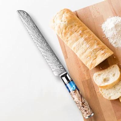 China Viable 8 inch Japanese Hot Selling Professional Bread Knife for Kitchen for sale