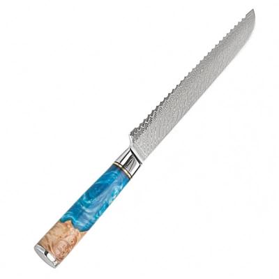 China Good quality viable sharp blade serrated cake knife with serrated for sale