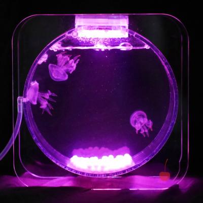 China Top Selling Viable Amazon Aquarium Fish Tank With LED Lights Can Be Customized Acrylic Jellyfish Tank for sale