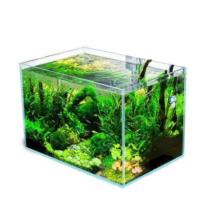 China Viable Amazon Sells Platinum Custom Square Glass Crystal Crystal Aquarium Ultra Mini Best Fish Tank Small Fish Tank for sale