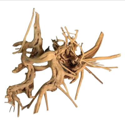 China Viable wholesale aquarium decoration of a large number of characteristics of roots rooting roots for sale