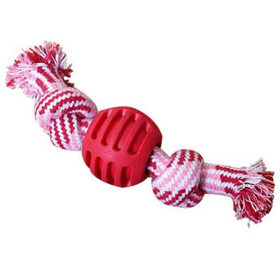 China Pet Toys Dog Toothbrush Pet Chew Play Toy Bitedog Bone Toy for sale