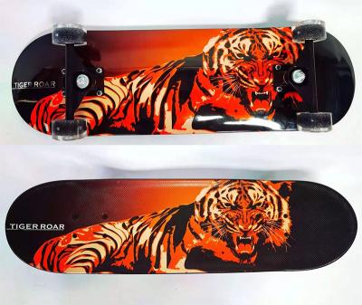 China Adult Complete Skateboard 28*8