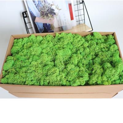 China Wall decoration make office and tea room interior decoration more elegant preserved moss wall for sale