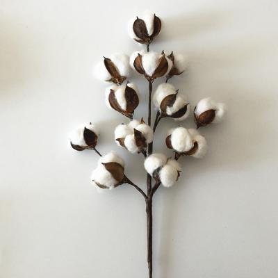 China Festival Arrangements Home Decor White Cotton Ball Stems Decoration Picks Cotton Artificial Floral Flowers for sale