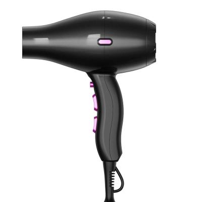 China Pro Titanium Surface Nano Flat Titanium Iron Private Label Professional Hair Blow Dryer for sale