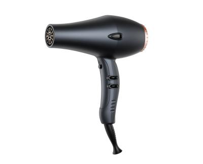 China New Ionic Private Compact Powerful Quick Dry Blow Dryer, 3 Adjustable Heats and 2 Speeds, Negative Ionic Hair Dryer for sale